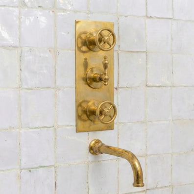 Heritage Unlacquered Brass Wall-Mount Shower System with Rain Head & HandheldHeritage Unlacquered Brass Wall-Mount Shower System 