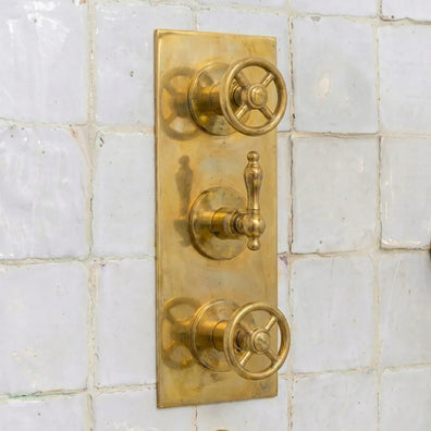 Heritage Unlacquered Brass Wall-Mount Shower System with Rain Head & HandheldHeritage Unlacquered Brass Wall-Mount Shower System 