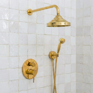 Solid brass rain shower head with curved arm and handheld shower in vintage finish